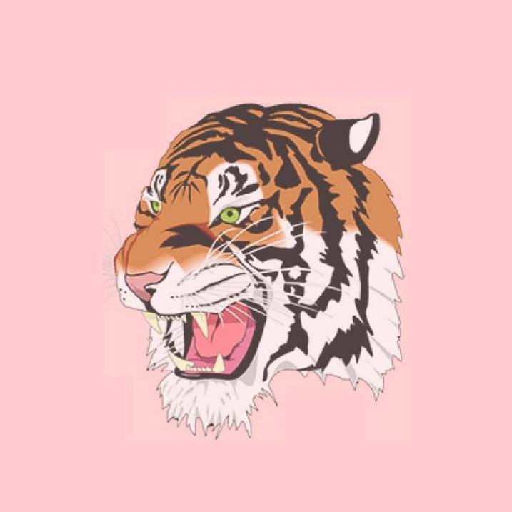 illustration of a tiger growling with a pastel pink background